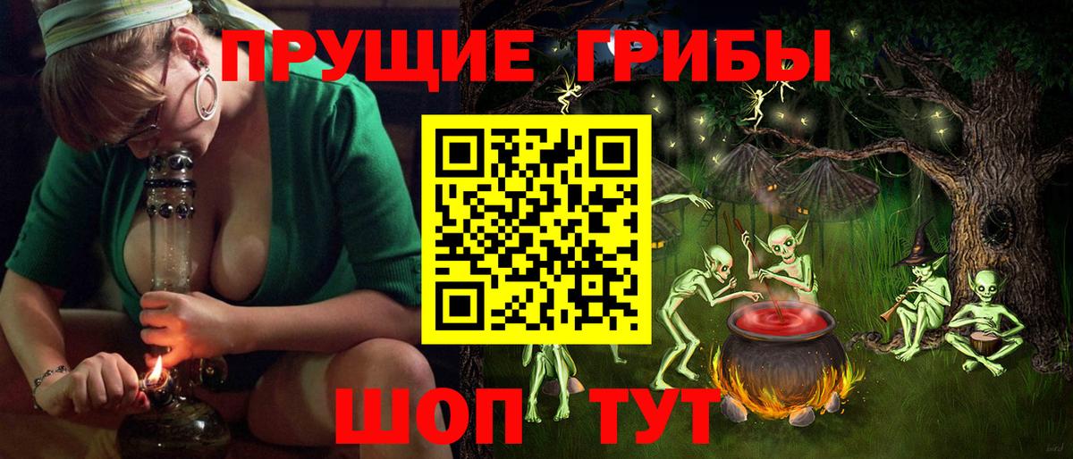 наркота  Псилоцибиновые грибы Magic Shrooms  Вход с VPN  Шумерля  Галлюциногенные грибы Psilocybe 